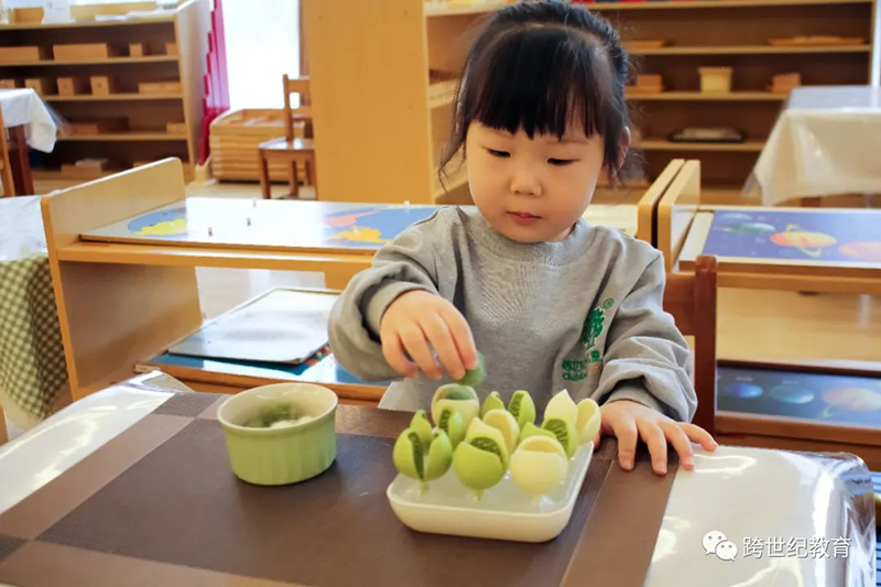 蒙特梭利教育：深度解读孩子的“秩序敏感期”