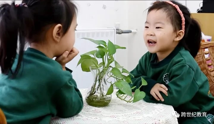 当孩子之间发生争执，蒙特梭利幼儿园这样做！