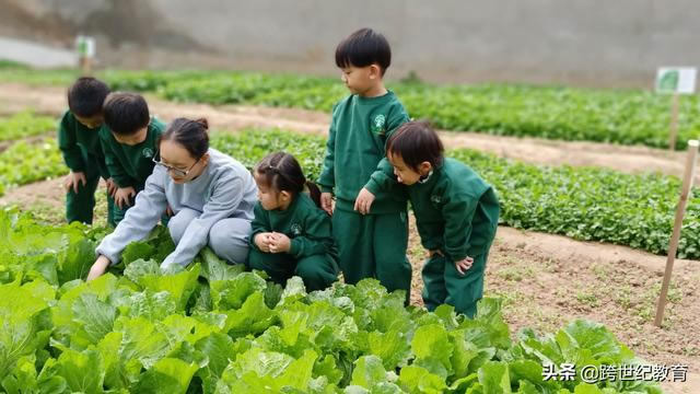 跨世纪蒙氏教育：幼儿园孩子身上不可忽视的敏感期（一）