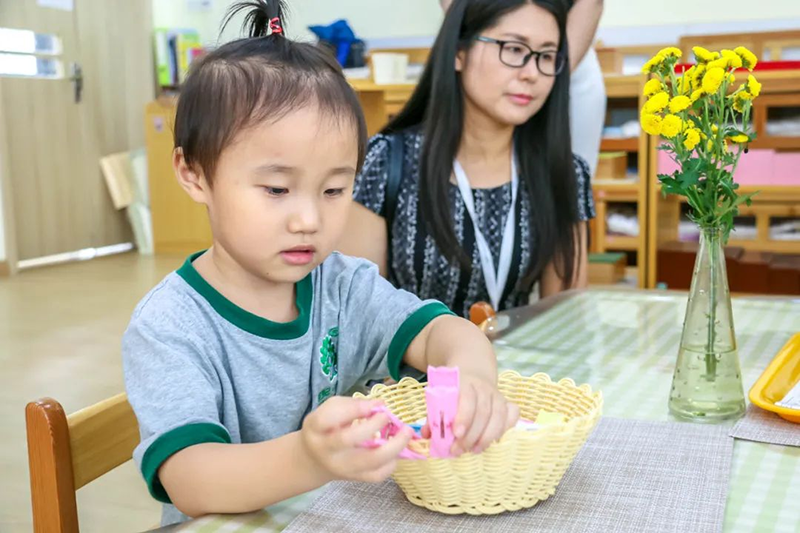 跨世纪蒙氏教育：揭秘超有意义的蒙氏「工作」，送孩子上蒙特梭利幼儿园一定没错！