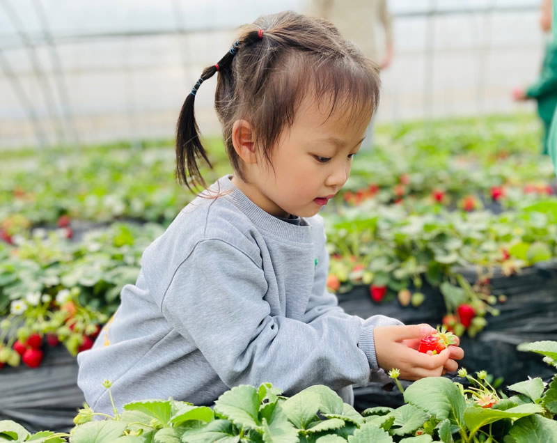 跨世纪蒙特梭利：谁若不能独立，就谈不上拥有自由