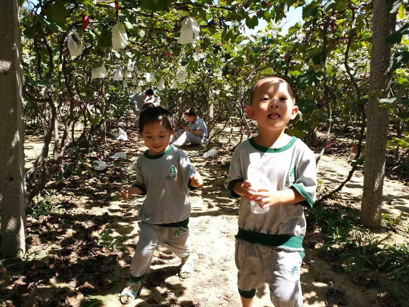 关于蒙特梭利幼儿园，你所不知道的事情